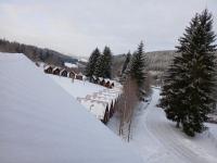 20250216_074822 (1024x768).jpg